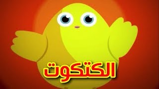 الكتكوت  طيور بيبي  Toyor Baby [upl. by Mima]