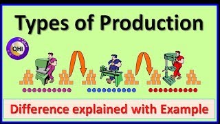 Types of Production  Explained with Example [upl. by Aicatsal]