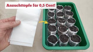 die DIY Anzuchttöpfe sind genial amp kosten 05 Cent [upl. by Delp]