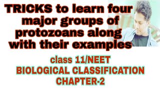 TRICKS to learn four major groups of protozoans along with their examplesclass 11 chapter2 [upl. by Nanaek493]