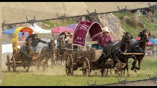 2018 National Championship Chuckwagon Races  DVD Intro [upl. by Christyna]