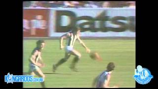 Flashback 1977 Grand Finals  North Melbourne v Collingwood [upl. by Romona]