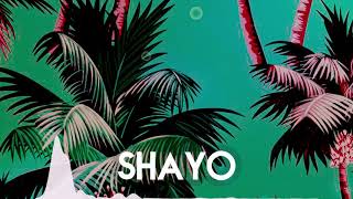 YCEE ✗ WIZKID  Type AfroBeat SHAYO [upl. by Burnard]