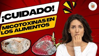 CUIDADO con las MICOTOXINAS de los ALIMENTOS Cómo Protegerte [upl. by Eide97]