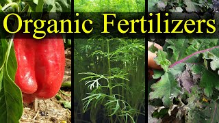 Organic Fertilizers  My Top 5 Choices For 2021 [upl. by Imac]