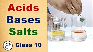 Acids Bases and Salts Introduction  in Hindi for Class 10 [upl. by Yssep]