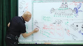 Apoptosis  Programmed Cell Death Definition [upl. by Anele]