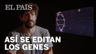 CRISPR así se editan los genes  Materia [upl. by Aigroeg]