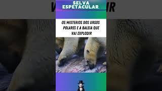 Oque pode acontecer se uma BALEIA EXPLODIR vidanaselva animais vidaselvagem Selva baleia urso [upl. by Akkina382]