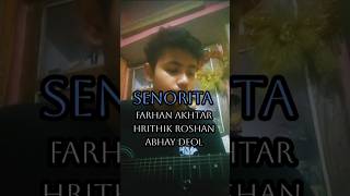 Senorita From quotZindagi na milegi dobaraquot guitar cover [upl. by Aryk]