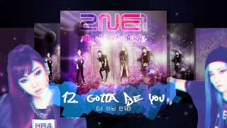 AON 12 Gotta Be You 너 아님 안돼  2NE1 2NE1  2014 2NE1 World Tour Live  All Or Nothing In Seoul [upl. by Maitilde]