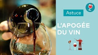 Lapogée du vin  questce que cest   Les astuces du Petit Ballon [upl. by James894]