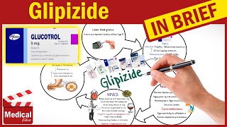 Glipizide 5 mg Glucotrol What Is Glipizide Used For Uses Dosage and Side Effects of Glipizide [upl. by Lemhar858]