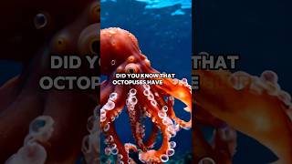 Did you know that octopuses have blue blood shorts [upl. by Cathi]