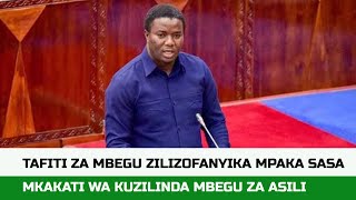 TAFITI ZA MBEGU ZILIZOFANYIKA TANZANIA  BUNGENI LEO  DAVID SILINDE  BENKI YA MBEGU ZA ASILI [upl. by Ahsart]