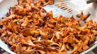 Easy and Fast Sautéed Chanterelle Mushrooms Chanterelles Recipe  EatSimpleFoodcom [upl. by Marquardt176]