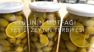 Yeşil Zeytin Terbiyesi Nasıl Yapılır [upl. by Akfir489]