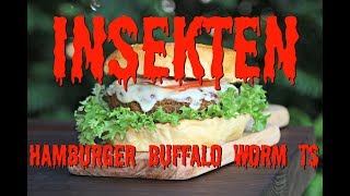 DER INSEKTENBURGER  Wie schmeckt sowas Buffalo Worm Burger [upl. by Zed584]