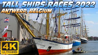 The Tall Ships Races 2022 Antwerp  Belgium [upl. by Iramo868]