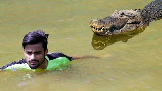 14 Scary Crocodile Encounters to SCARE You SILLY [upl. by Keene]