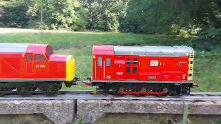 DB Locos at Maidstone MES Mote Park [upl. by Shel]