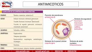 Qx farmacologia  ANTIMICOTICOS 1 [upl. by Arlyne]