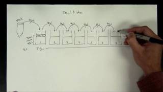 Concentrations Part 5  serial dilution [upl. by Kurtzig1]