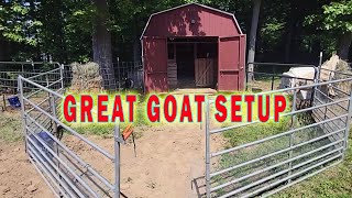 The Prefect Goat Barn Setup For Beginners [upl. by Klinges14]