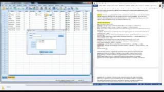 Creating a Codebook in SPSS [upl. by Janenna]