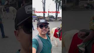 Famous Chowrasta darjeeling india nepalivlog nepal nepalivlogger [upl. by Atneuqal]