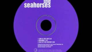 The Seahorses  Dreamer BSide [upl. by Llerud566]