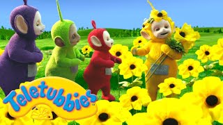 Teletubbies  YELLOW  Official Season 16 Full Episode [upl. by Ronica]