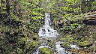 New Brunswick Fundy Hopewell Rocks and Worlds Largest Lobster  Grants Adventure Episode 853 [upl. by Eidob217]