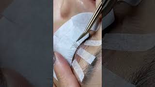 Beutifulll Eyelids 👁️eyebrow eyes eyemakeup beautytips viralshorts [upl. by Adamek]