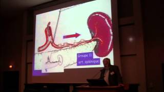 Traitement chirurgical de ladénocarcinome gastrique  Pr Denis PEZET ClermontFerrand CHU [upl. by Danni]