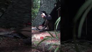 Solo camping bersantai di hutan solocamping bushcraft survival latihanperang [upl. by Fiora]