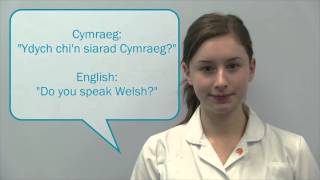 Basic Welsh Phrases [upl. by Leahcimed]