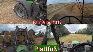 Farmvlog 317 Platten  2 Schnitt  Hafer dreschen [upl. by Ordnajela]