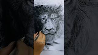 Quick Sketch Tips Drawing with Pencil Charcoal and Graphite [upl. by Honig638]