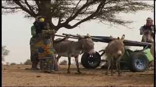 Walo Walo  Documentaire noncommerciale sur lEau Potable au Sénégal 2009 [upl. by Mauldon]