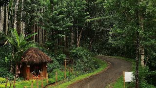 Best places to visit in Agumbe 😍 [upl. by Fontes]