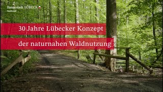 Stadtwald – 30 Jahre Lübecker Konzept der naturnahen Waldnutzung [upl. by Learsiy801]