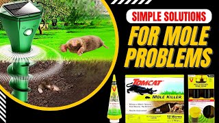 What Is The Most Effective Mole Deterrent That Actually Works [upl. by Larok249]