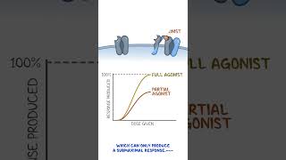 Clinical Cuts Pharmacodynamics  Agonist partial agonist antagonist [upl. by Purvis717]