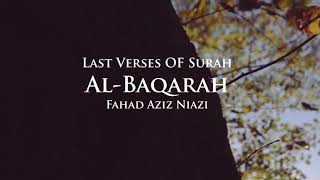 Last 2 VersesAyaat Surah AlBaqarah  Fahad Aziz Niazi أواخر سورة البقرة  ‏ فهد عزيز نيازي ￼￼￼￼￼ [upl. by Eugenie]