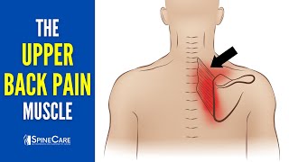 The Upper Back Pain Muscle How to Release It for INSTANT RELIEF [upl. by Ralph801]