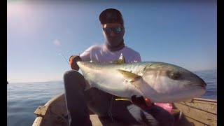 Pesca de jureles yellowtail en quotlos corralesquot Ensenada [upl. by Matrona]