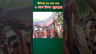 ১৯ কেজি ওজনের ব্ল্যাক কার্প ধরে পুরস্কার জিতেছেন মৎস শিকারী shorts fishingvideo shortfeed [upl. by Evangelist196]