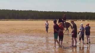 The Life Guards on Holkham Beach 2015 11 [upl. by Niawtna180]