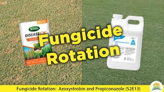 Fungicide Rotation Azoxystrobin and Propiconazole ☀️ S2E13 [upl. by Nedi]